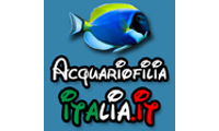 acquariofiliaitalia.it