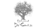 agriturismodesantis.com