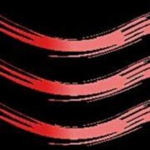 aliseiparrucchieri.it