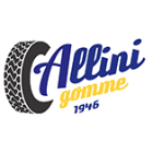 allinigomme.com