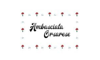 ambasciataorsarese.com
