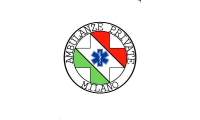 ambulanzeprivatemilano.eu