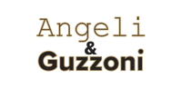 angeliguzzonigroup.it