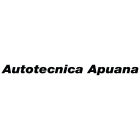 autotecnicaapuana.it