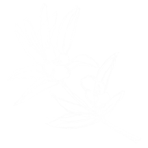 bahnhoefli-entlebuch.ch