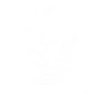 bahnhoefli-entlebuch.ch