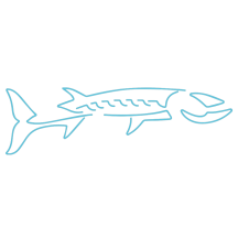 barracudapescecucina.it