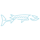 barracudapescecucina.it