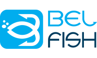 belfish.it