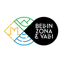 bellinzonaevalli.ch