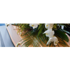 bierreonoranzefunebri.com