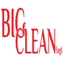 bigclean.ch