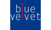 blue-velvet.ch
