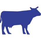 bottegadellecarniorlandi.it