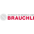 brauchli-ag.ch