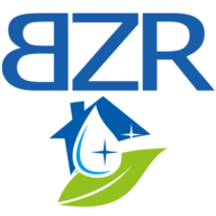 bzr-reinigung.ch