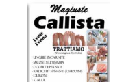 callistatorino.it