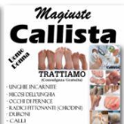 callistatorino.it