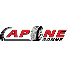 caponegomme.it
