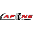 caponegomme.it