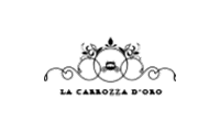 carrozzadoro.it