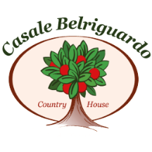 casalebelriguardo.it