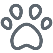 casconeautomotive.com