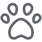 casconeautomotive.com