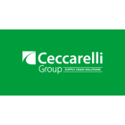 ceccarelligroup.it