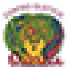 centro-olilaquercia.it