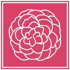 centroesteticolecamelie.it