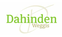 dahinden-weggis.ch