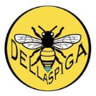 dellaspigagioielli.com