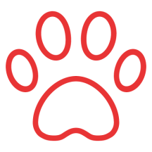 ecocenterdogsandcats.it