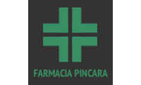 farmaciadipincara.it