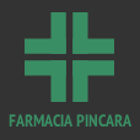 farmaciadipincara.it