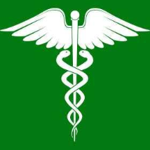 farmaciasanambrogio.it