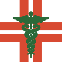 farmaciasangaetanolendinara.it