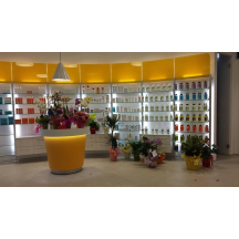 farmaciasantacaterinasarzana.it