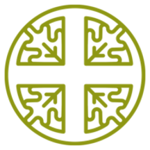 farmaciecomunalirovereto.it