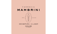 farmaciemambrini.it