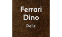 ferraridinopelliccerie.com