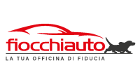 fiocchiautoeffeauto.com