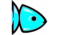 fishsurfschool.com