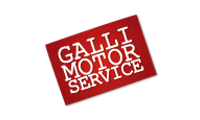 gallimotorservice.it