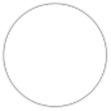 gallucciterlizzi.com