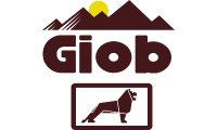 giobtrans.ch