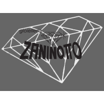 gioielleriazaninottoudine.it