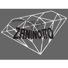 gioielleriazaninottoudine.it