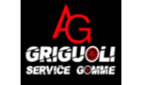 griguoliservicegomme.it